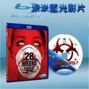  28週毀滅倒數：全球封閉28 Weeks Later (藍光25G)