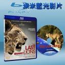  最後的獅群 The Last Lions 藍光25G