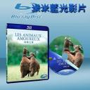  動物之愛  Les Animaux Amoureux (藍光25G)