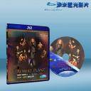  羅伯普蘭特 ( 齊柏林飛船主唱 ) 田納西州演唱會 Robert Plant & The Band Of Joy 25G藍光
