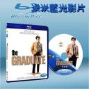  畢業生 The Graduate (1967) 25G藍光