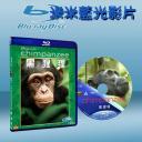  黑猩猩 Chimpanzee (2012) 藍光25G