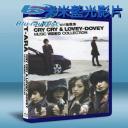  T-ara 皇冠團-韓國百變團美少女演唱會 (藍光25G)