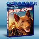 紅犬歷險記 Red Dog (2011) 藍光25G