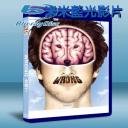  神祕小狗失蹤事件 Wrong (2012) 藍光25G