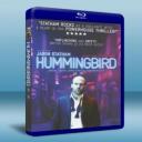   夜刑者 Hummingbird (2013) 藍光25G