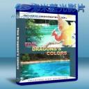   BBC：五彩金龍 Five Dragons's Colors 藍光BD-25G