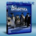   IMAX:南極企鵝 Antarctica 藍光BD-25G
