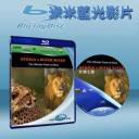   非洲超級七獸 Africa's Super Seven 藍光BD-25G