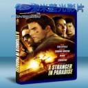   天堂陌客 A Stranger in Paradise (2012) 藍光BD-25G