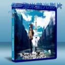   命運石之門 (劇場版) 負荷領域的即視感 (2013) 藍光25G