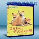   第七日的奇蹟 Himawari to koinu no nanokakan (2012) 藍光BD-25G