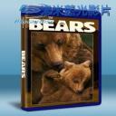   熊世界 Dsineynature Bears 藍光BD-25G
