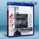   紅鬍子 赤ひげ (1965) 藍光25G