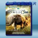   魔法王國 Enchanted Kingdom (2014) 藍光BD-25G
