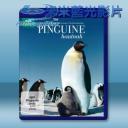   BBC 企鵝間諜 Pinguine hautnah 藍光BD-25G