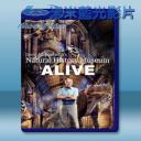   愛丁保羅夫爺爺的博物館奇妙夜 David Attenborough's Natural History Museum Alive (2013) 藍光25G