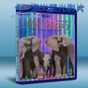   生命故事 Life Story (2014) (2碟) 藍光BD-25G