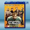   騾子 The Mule (2014) 藍光25G