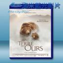   棕熊之國  Terre des Ours (2014)  藍光25G