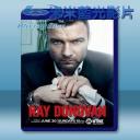   清道夫 Ray Donovan 第1季 (3碟) 藍光25G