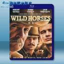  野馬 Wild Horses (2015) 藍光25G