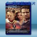   堅強的佩恩 Walker Payne (2006) 藍光25G