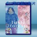   小森食光/冬春篇 (2015) 藍光25G