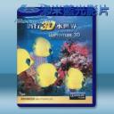   (2D+3D) 潜行3D水世界 藍光影片25G