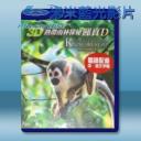   (2D+3D) 熱帶雨林探秘睇真D 藍光影片25G