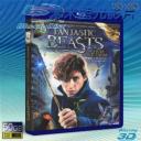   (優惠50G-2D+3D) 怪獸與牠們的產地 Fantastic Beasts and Where to Find Them (2016) 藍光影片50G