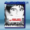   熱天午後 Dog Day Afternoon (1975) 藍光25G