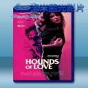   愉虐遊戲 Hounds of Love (2016) 藍光25G