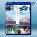   我想吃掉你的胰臟 <日> (2017) 藍光25G