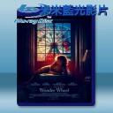  愛情摩天輪 Wonder Wheel (2017) 藍光25G