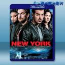  紐約 New York <印度> (2009) 藍光25G