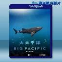  大太平洋 (2017)  藍光25G