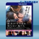  她不知道那些鳥的名字 <日> [2017] 藍光25G