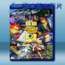   怪物島 Monster Island (2017) 藍光25G