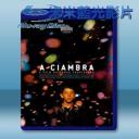   壞小子，安啦！ A Ciambra [2017] 藍光25G