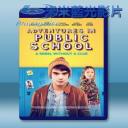   公共教育 Public Schooled [2017] 藍光25G