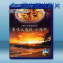   家住大海邊+小海鮮 藍光影片25G