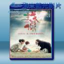   找到你 (2018) 藍光25G