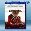   為了與你相聚 A Dog's Way Home [2019] 藍光25G