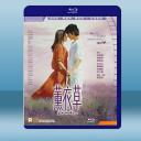  薰衣草(2000)藍光25G