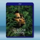 進化症候群/動物王國 The Animal K...