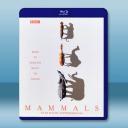 BBC 哺乳動物星球 Mammals(2024)藍光25G 2碟L		 