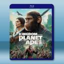 猩球崛起：王國誕生 (2024)藍光25G		 