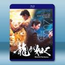 如龍/人中之龍 (2024)【TV全集+電影版】藍光25G 3碟L		 