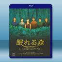 《中山美穗-日劇》沉睡的森林 (1998)藍光25G 2碟		 